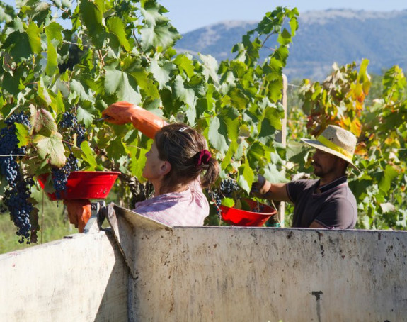 U BiH sve manje radne snage 
