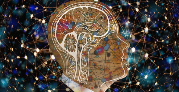 Naučnici uspjeli da riješe osnovnu zagonetku mozga