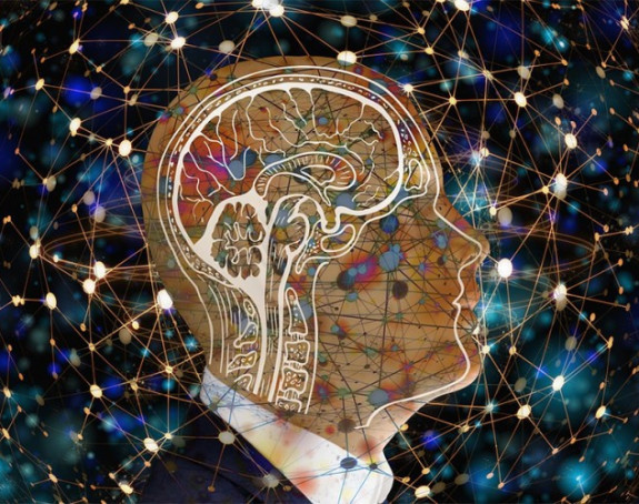 Naučnici uspjeli da riješe osnovnu zagonetku mozga