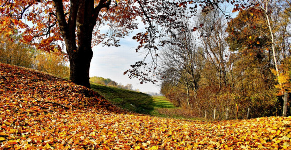Do srijede sunčano, a onda kiša i hladnije...