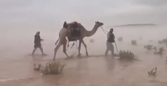 Poplave napravile more u pustinji