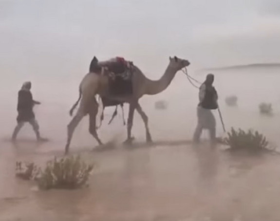 Poplave napravile more u pustinji