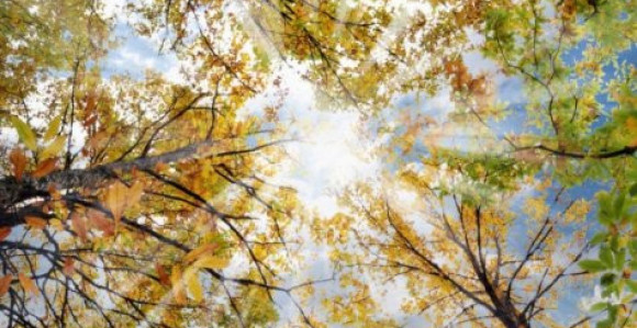 Danas pretežno sunčano vrijeme, temperatura 18