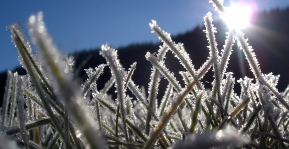 Ujutro mraz, tokom dana sunčano