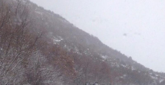 Poginula djevojka, druga povrijeđena