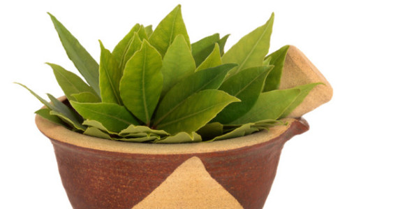 Lovor protiv bolova u grlu i kašlja