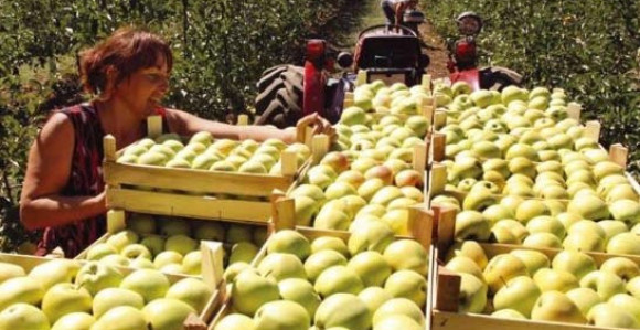 Izvoz u Rusiju jača poljoprivredu Srpske 