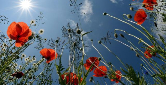 U BiH danas sunčano vrijeme