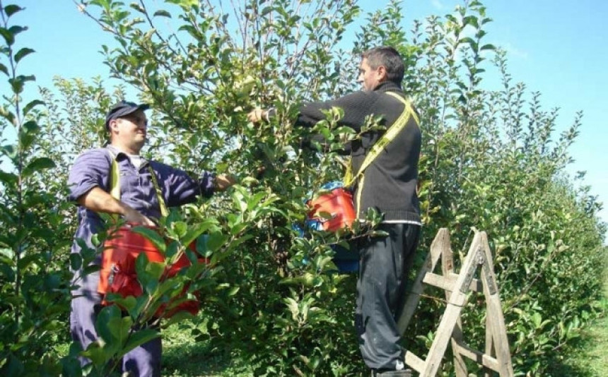 Сезонци у Српској остају празних руку