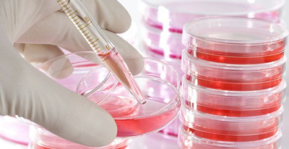 "Čuvanje matičnih čelija je bacanje novca"