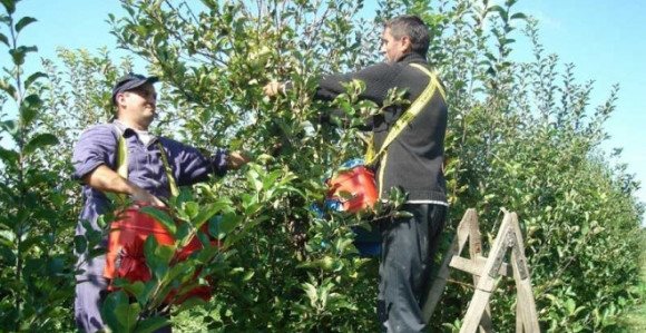 Sezonci u Srpskoj ostaju praznih ruku