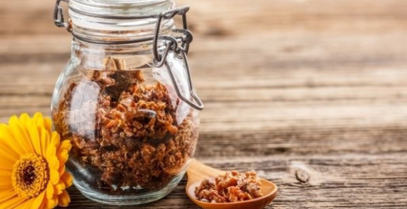 Propolis usporava rast bakterija