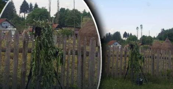 ''Zeleni'' radar vreba kod Tuzle