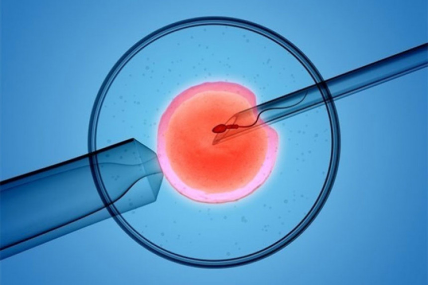 Научници корак ближе ембриону