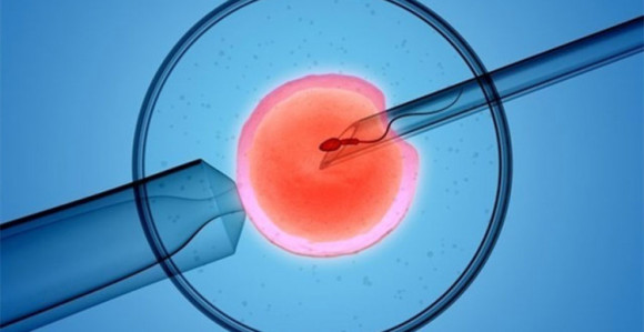 Naučnici korak bliže embrionu