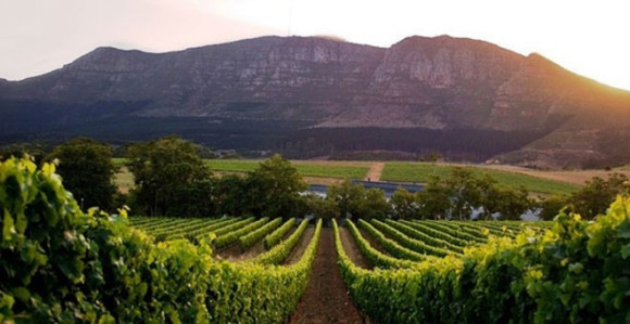 Najveća vinska ruta na svijetu