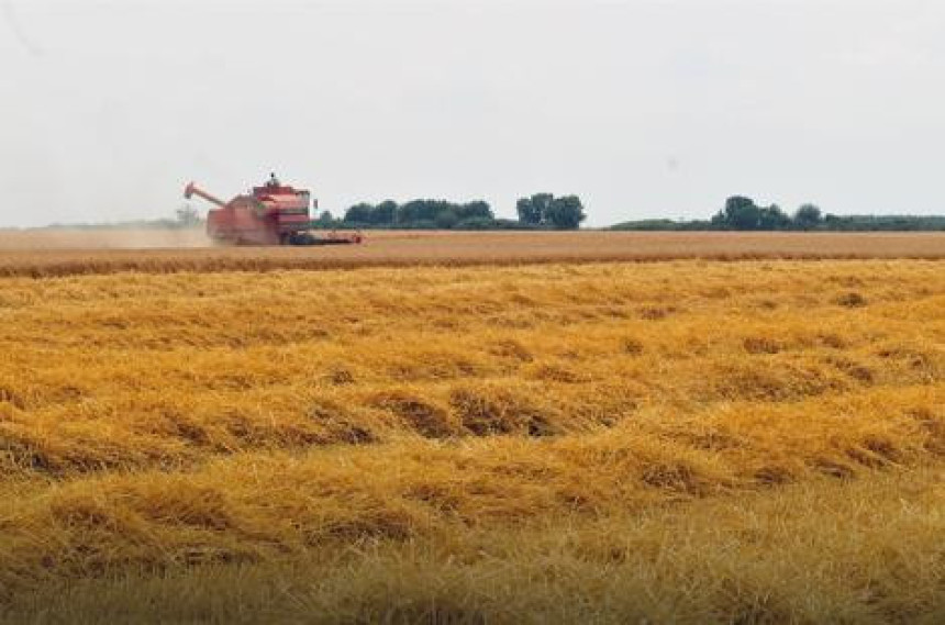 Truju nas pesticidima koji izazivaju rak