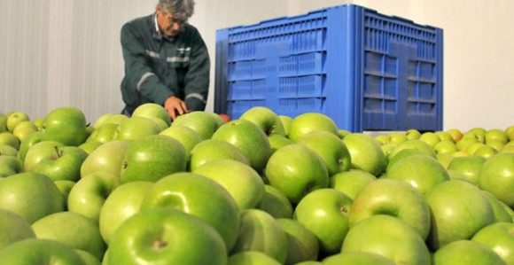 Пољопривредници чекају потез Руса