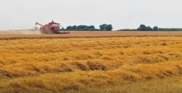 Truju nas pesticidima koji izazivaju rak
