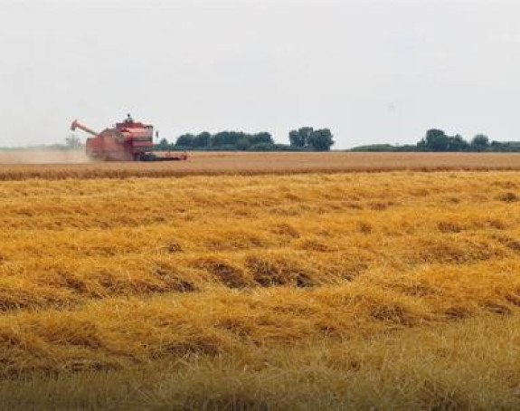 Truju nas pesticidima koji izazivaju rak
