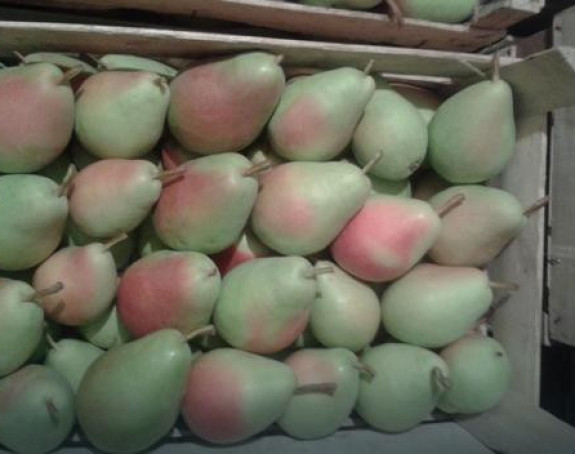 Воћарима пропадају стотине тона крушака