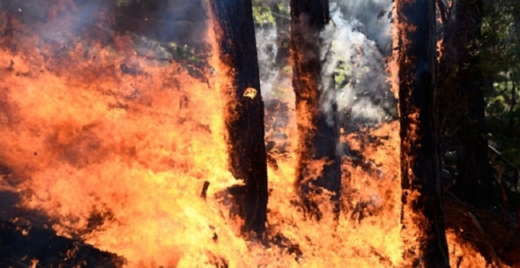 Zapalila selo jer u njemu žive Srbi
