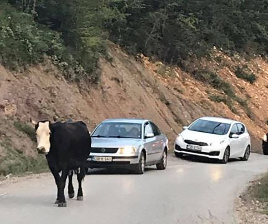 Put kod Foče kao kozja staza 