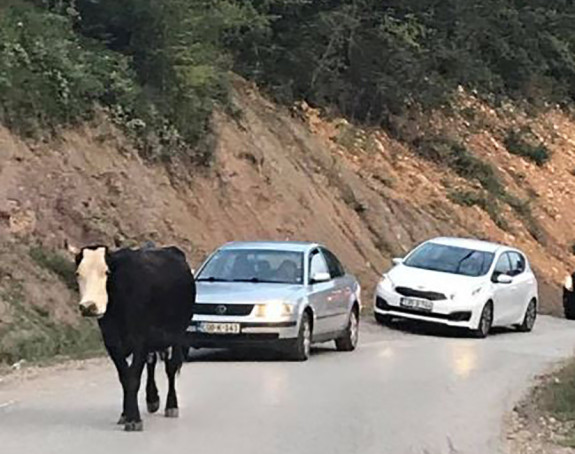 Put kod Foče kao kozja staza 
