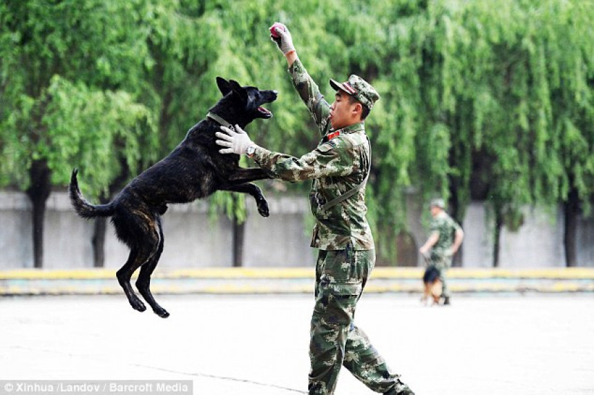Šok: Kineska policija koristi klonirane pse