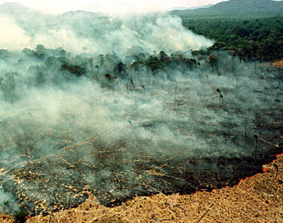 Poznate ličnosti o požarima u Amazoniji