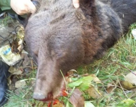 Meče ubijeno bez razloga, imamo pušku!