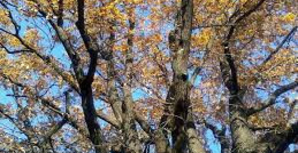 Sunčano i toplo vrijeme