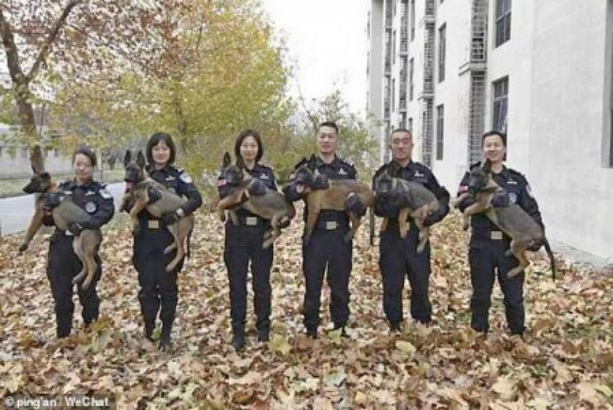 Kineski naučnici klonirali pse za policiju!