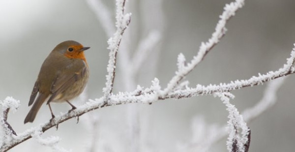 Hladno vrijeme sa susnježicom