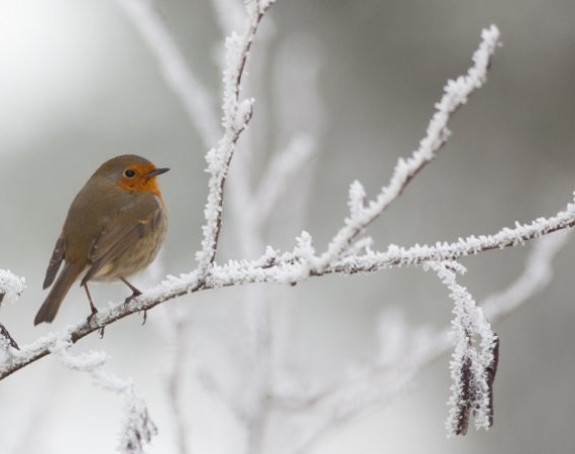 Hladno vrijeme sa susnježicom