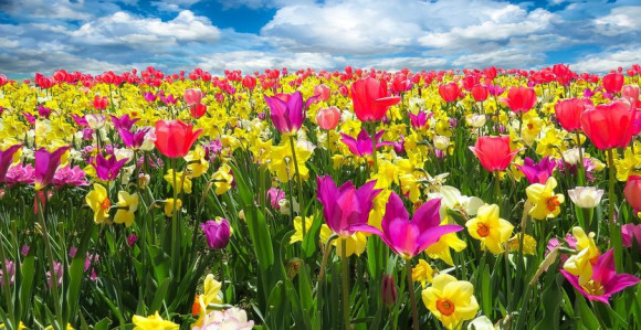 U BiH danas toplo vrijeme