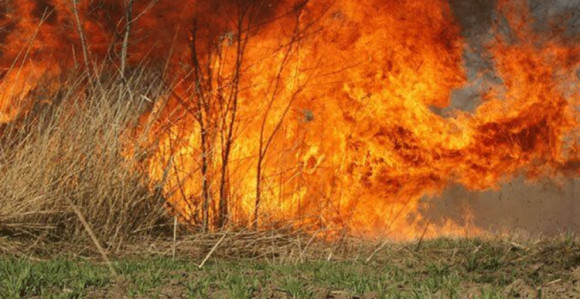 Deset požara izazvano nemarom