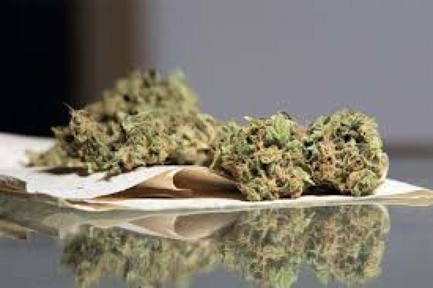 Pronađena nova laboratorija marihuane u BL