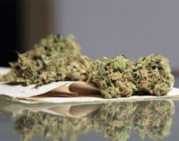 Pronađena nova laboratorija marihuane u BL