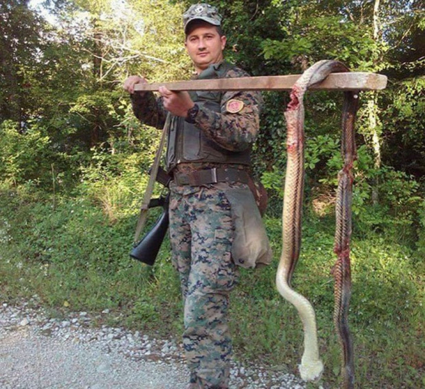 Убио змију дугу три метра штапом