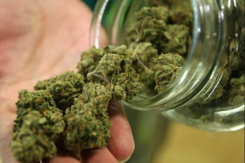 U BN zaplijenjeno više od 11 kg marihuane