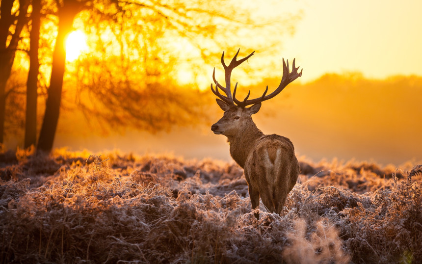Danas veoma toplo: Temperatura do 20°C