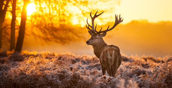 Danas veoma toplo: Temperatura do 20°C