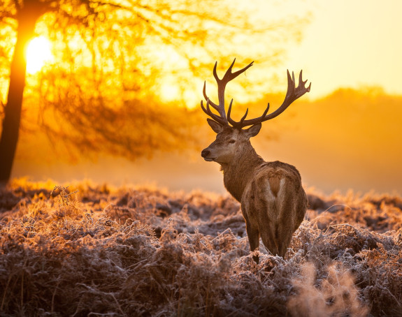 Danas veoma toplo: Temperatura do 20°C