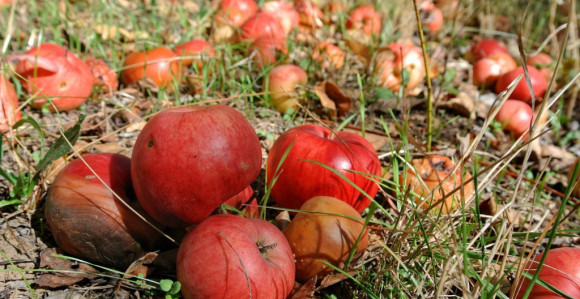 Umjereno oblačno i sunčano vrijeme