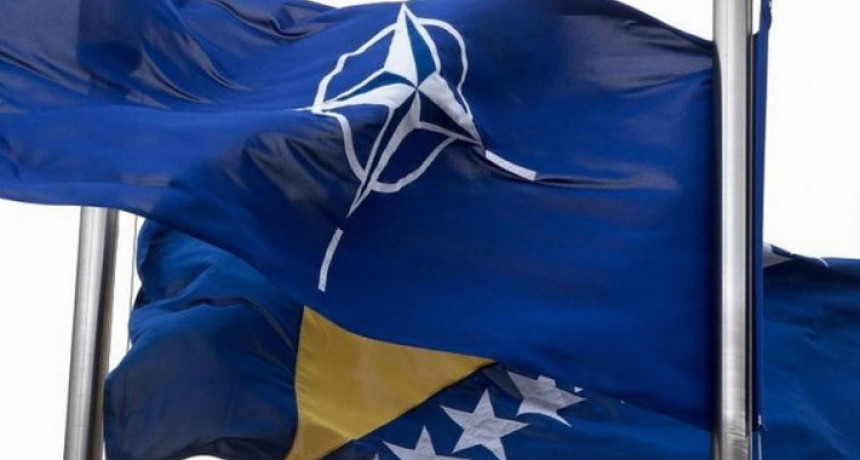 "Program reformi odbrane BiH jeste ANP"