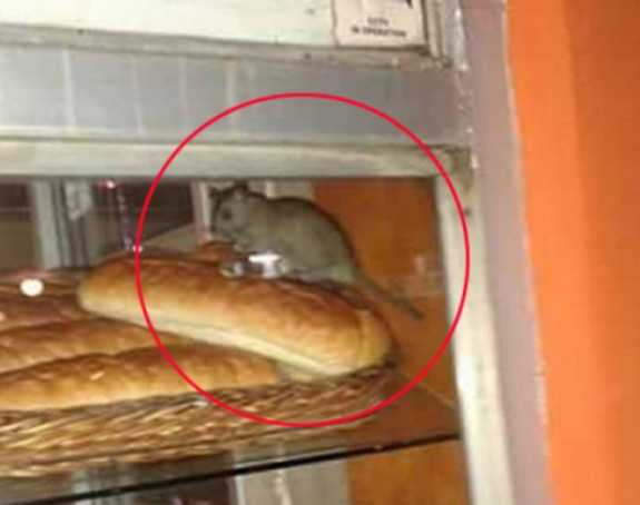 Pacovi snimljeni u pekari u Kruševcu!