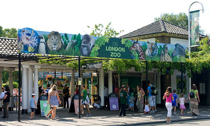 London: Zoo-vrt ponovo otvoren