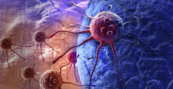 Đumbir čudo od ljekovite biljke