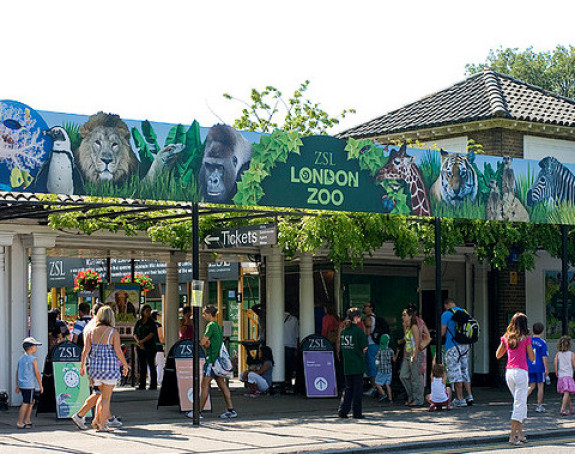 Лондон: Зоо-врт поново отворен